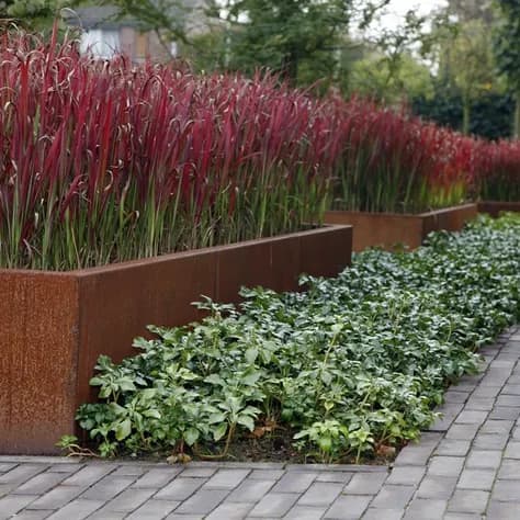 Murs de soutènement 300 droit Acier corten