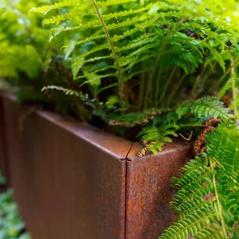 CARREZ Connect sans fond Acier corten