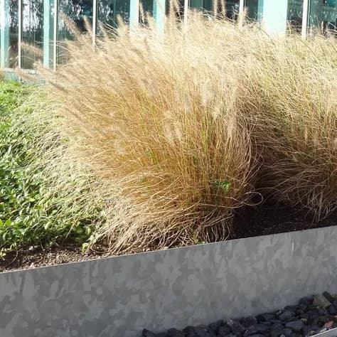 Bordure de jardin bord supperieur plié  Acier galvanisé