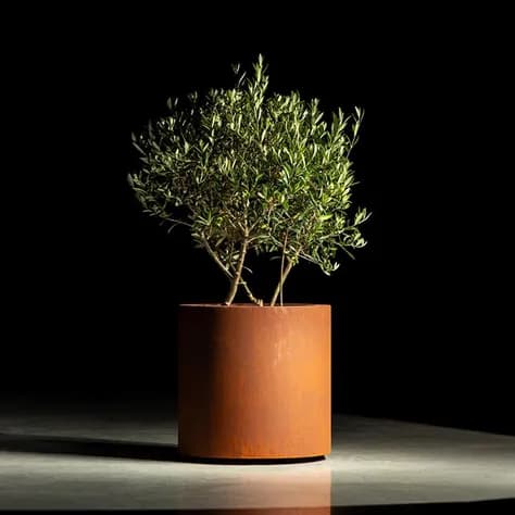 CIRCUM sur roulettes Acier corten