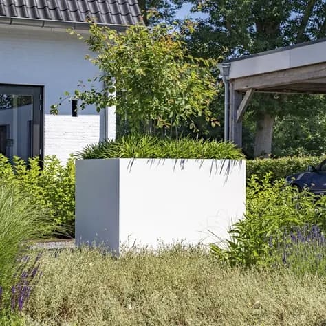 CARREZ Sur roulettes Aluminium