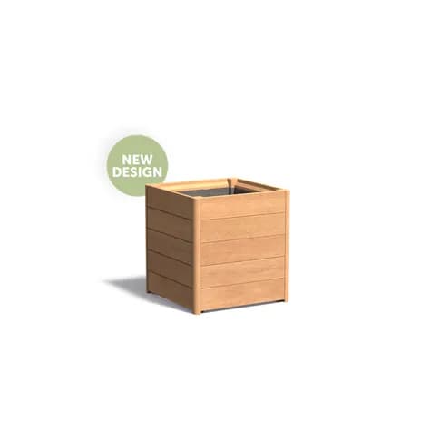 CARREZ avec fond (new design) Bois dur