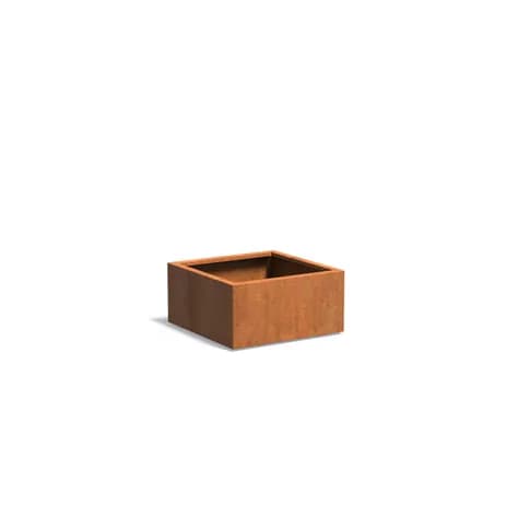 CARREZ avec fond Acier corten