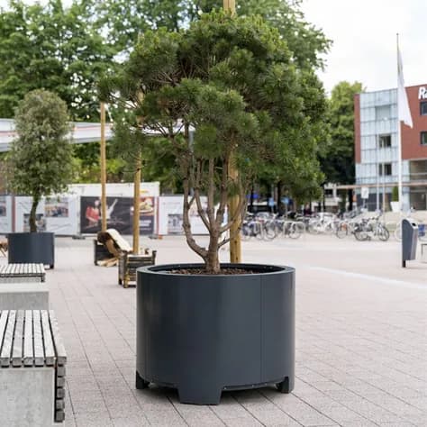 CARREZ treehub Flex Aluminium