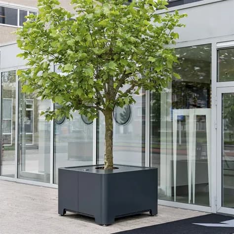 TAP treehub Air-Pot  Aluminium