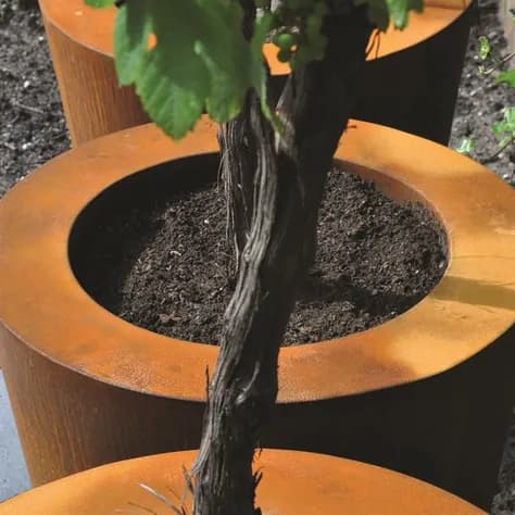CONIC avec fond Acier corten