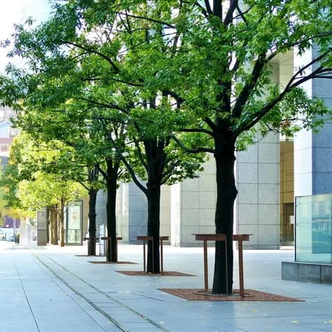 STORR tree guard round Acier corten