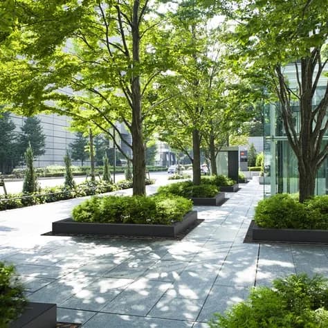 Miroir d'arbre ronde 1950 Acier corten