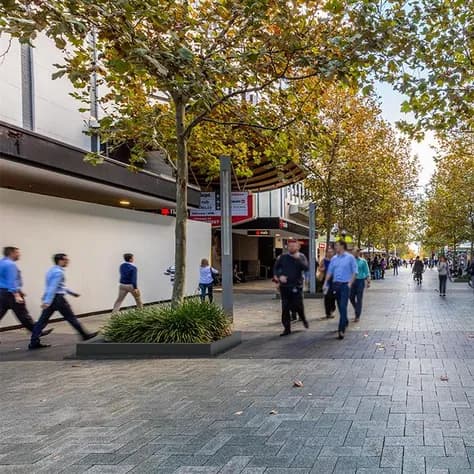 Miroir d'arbre carré 1950 Aluminium